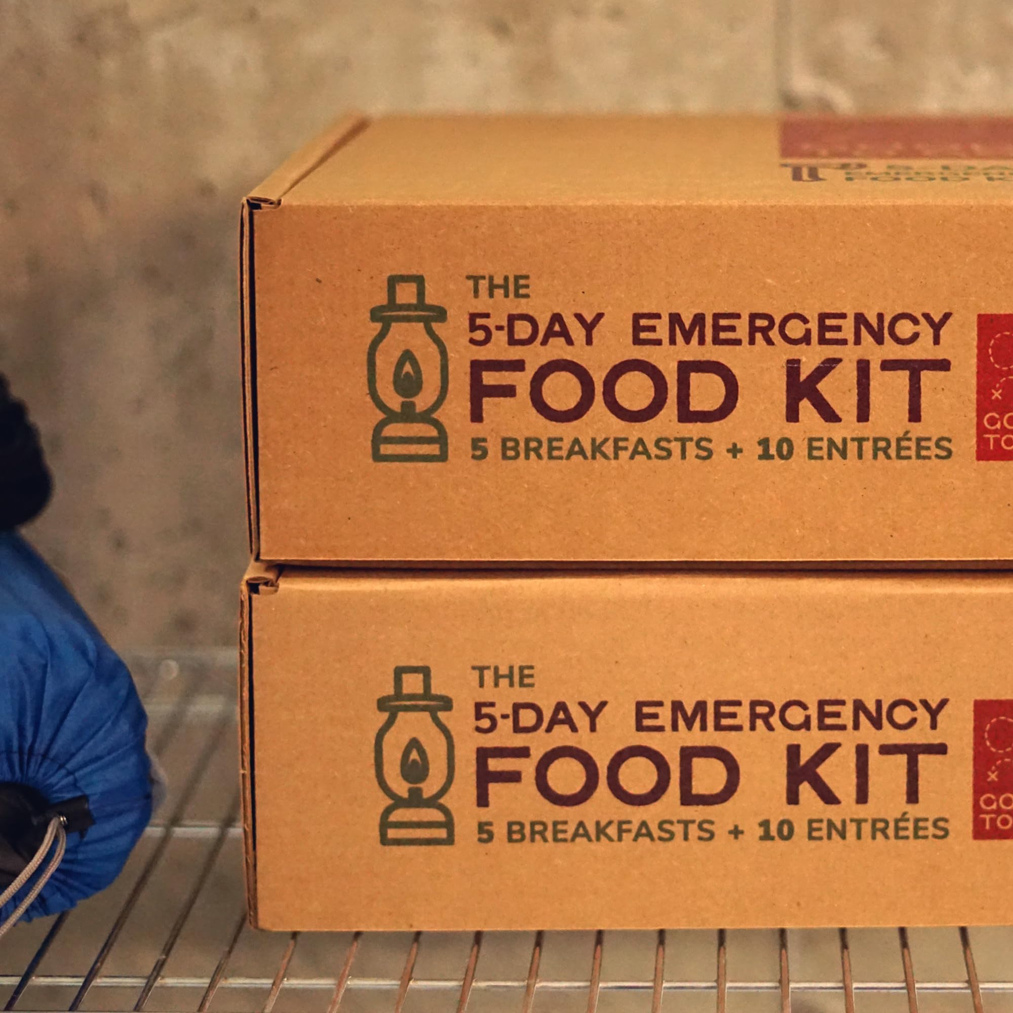 GOOD TO-GO Vegan 5-Day Emergency Food Supply Kit | Survival Food, Easy to Prepare | Just Add Water Camping & Backpacking Meals | Good To-Go Dehydrated Meals Taste Better Than Freeze Dried MRE