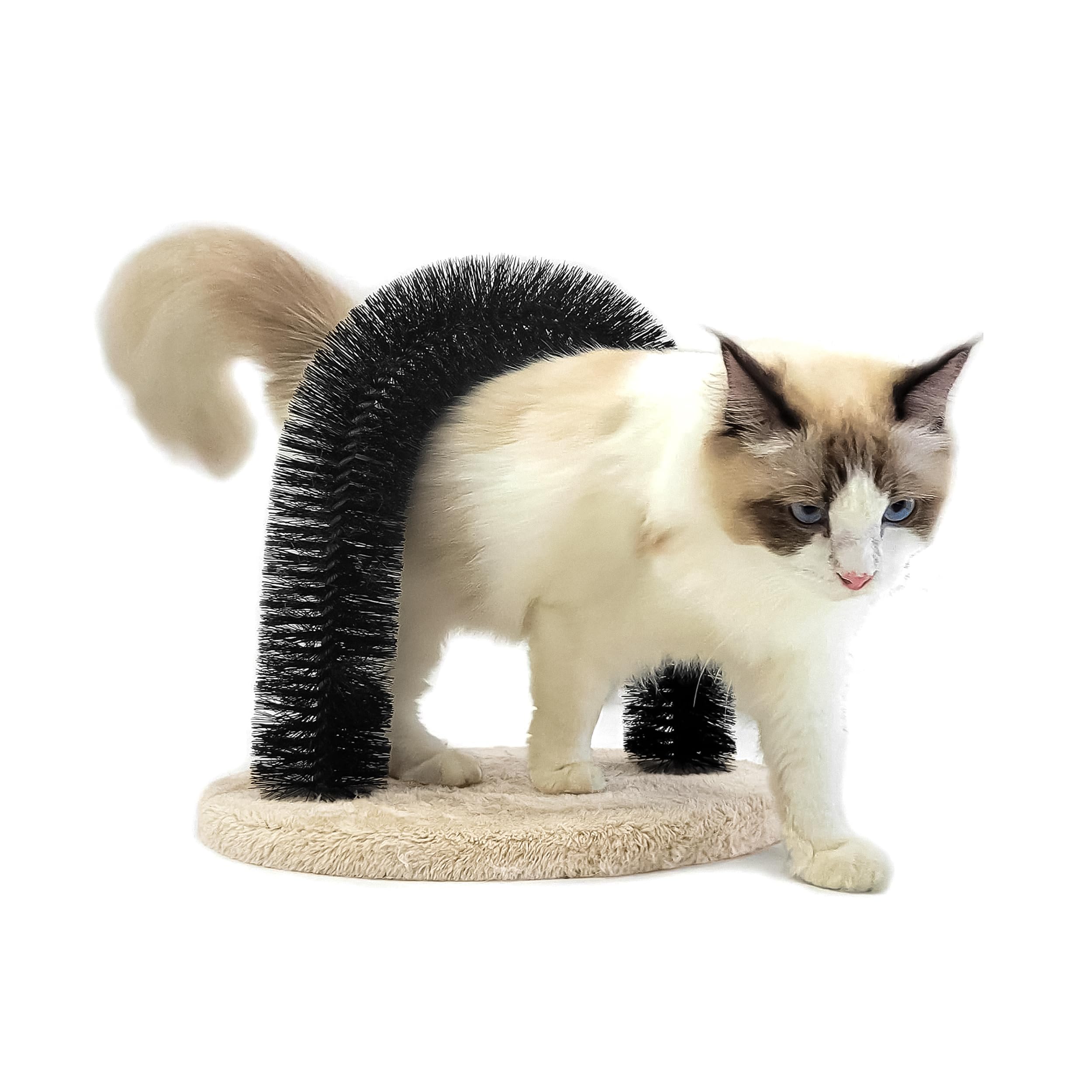 Enthaarungsbogen für Katzen 37 x 29 x 35 cm - Fellpflege für alle Haarlängen - Weniger Haare im Haus mit stabilem Sockel