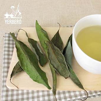 Yerbero - Dried Avocado Leaf 2 oz (56g) | Hoja De Aguacate Criollo - Aroma Fuerte | Aromatic, Strong Smell | Perfect for Tea or as Seasoning For Mexican Dishes | 100% All Natural, non-GMO, Gluten-free.