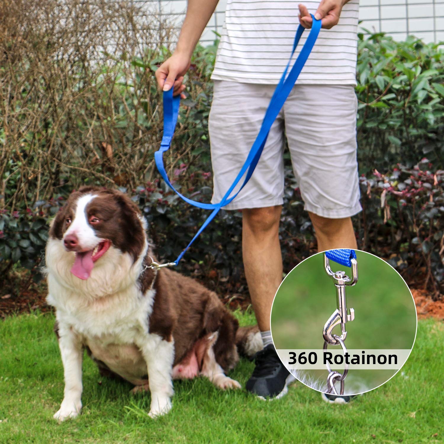 AMAGOOD Hundeleine, 180 cm, robust und langlebig, traditioneller Stil, mit einfach zu bedienendem Halsband-Haken, Hundeleine, ideal für kleine und mittelgroße und große Hunde (blau, 2,5 cm x 1,8 m)