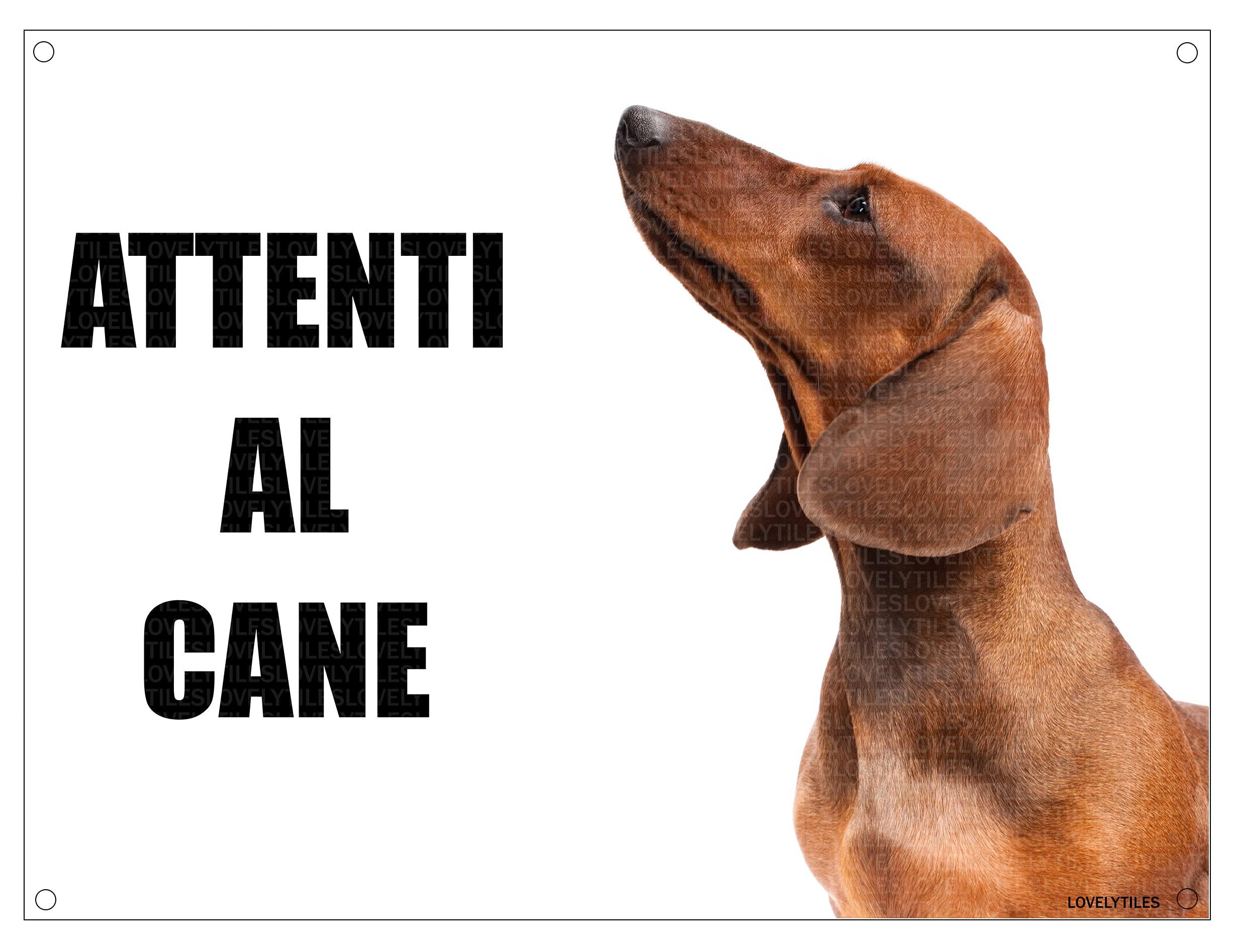 Cartello Attenti Al Cane Bovaro Del Bernese → Classifica dei Più