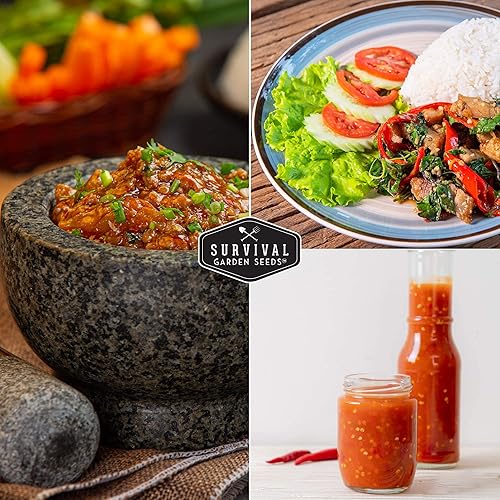 Miniatura 4 de Survival Garden Seeds - Semilla de pimiento dulce de plátano para plantar - 2 paquetes con instrucciones para plantar y cultivar pimientos amarillos