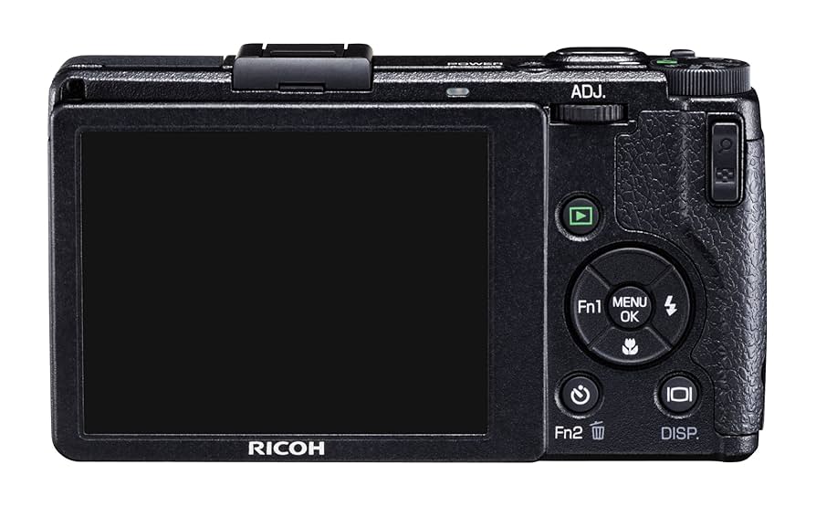 さ*う様 RICOH GR DIGITAL ⅳ Amazon Canada: Ricoh GR Digital IV US 10 MP Digital Camera