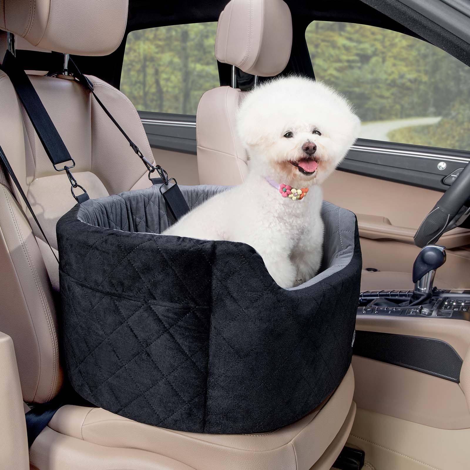 Pecute Seggiolino Auto per Cani di Taglia Medio/Piccola con Cintura di Sicurezza, Seggiolino Auto per Cuccioli Rialzato con Morbido Cuscino da 15cm, Staccabile e Lavabile con Tasche, Fino a 13.6kg