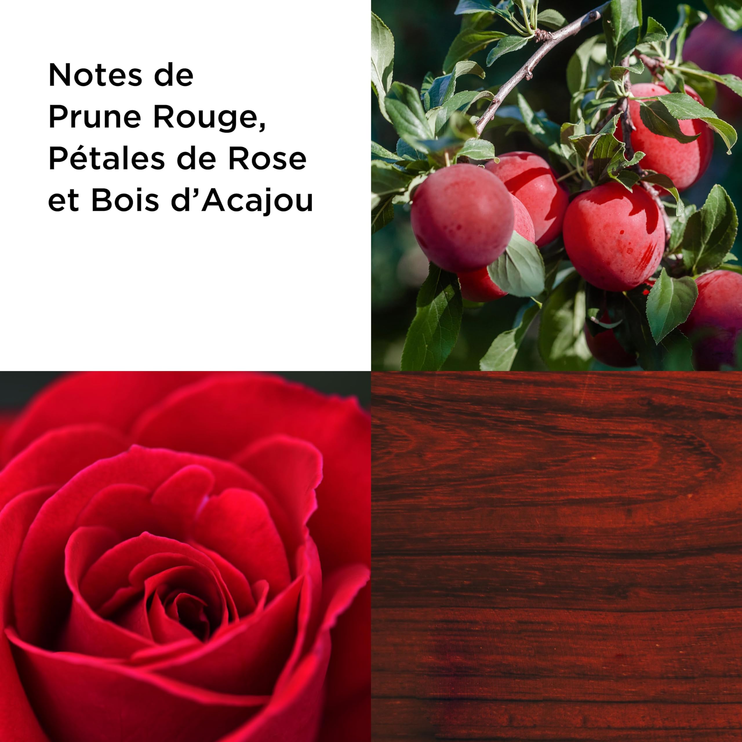 Elizabeth Arden, Red Door Always Red, Eau de Toilette pour Femme (100 ml), Senteur Florale, Parfum de Luxe