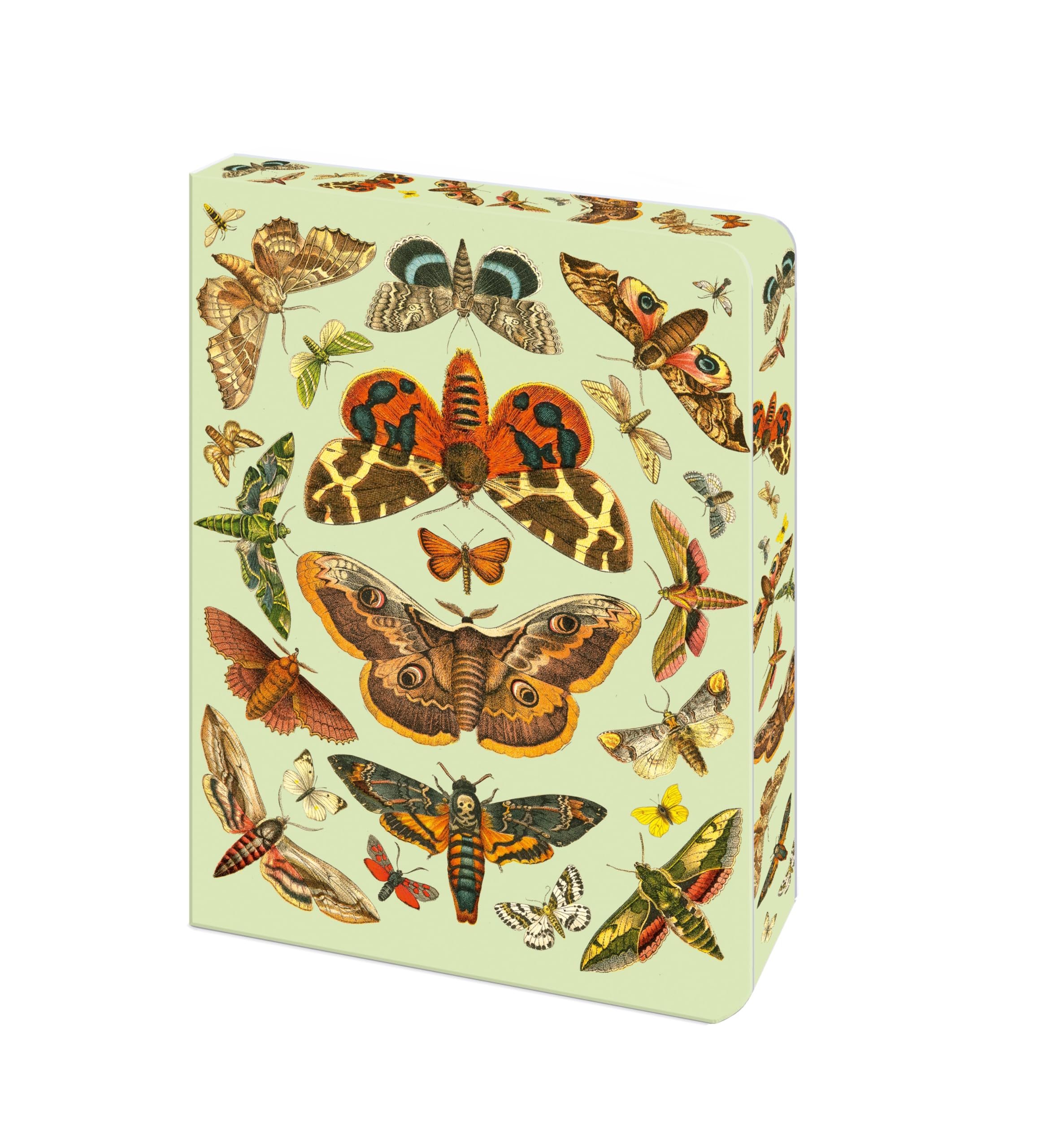 The Moth Journal: Blank Lined Notebook (Arcturus Vintage Journals)