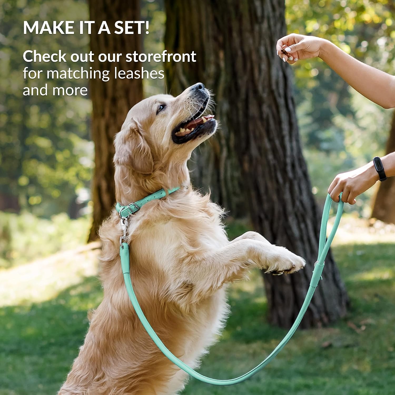 Tangle-Free Reflective Leather Dog Collar, 16-20 in, Mint Green image 5