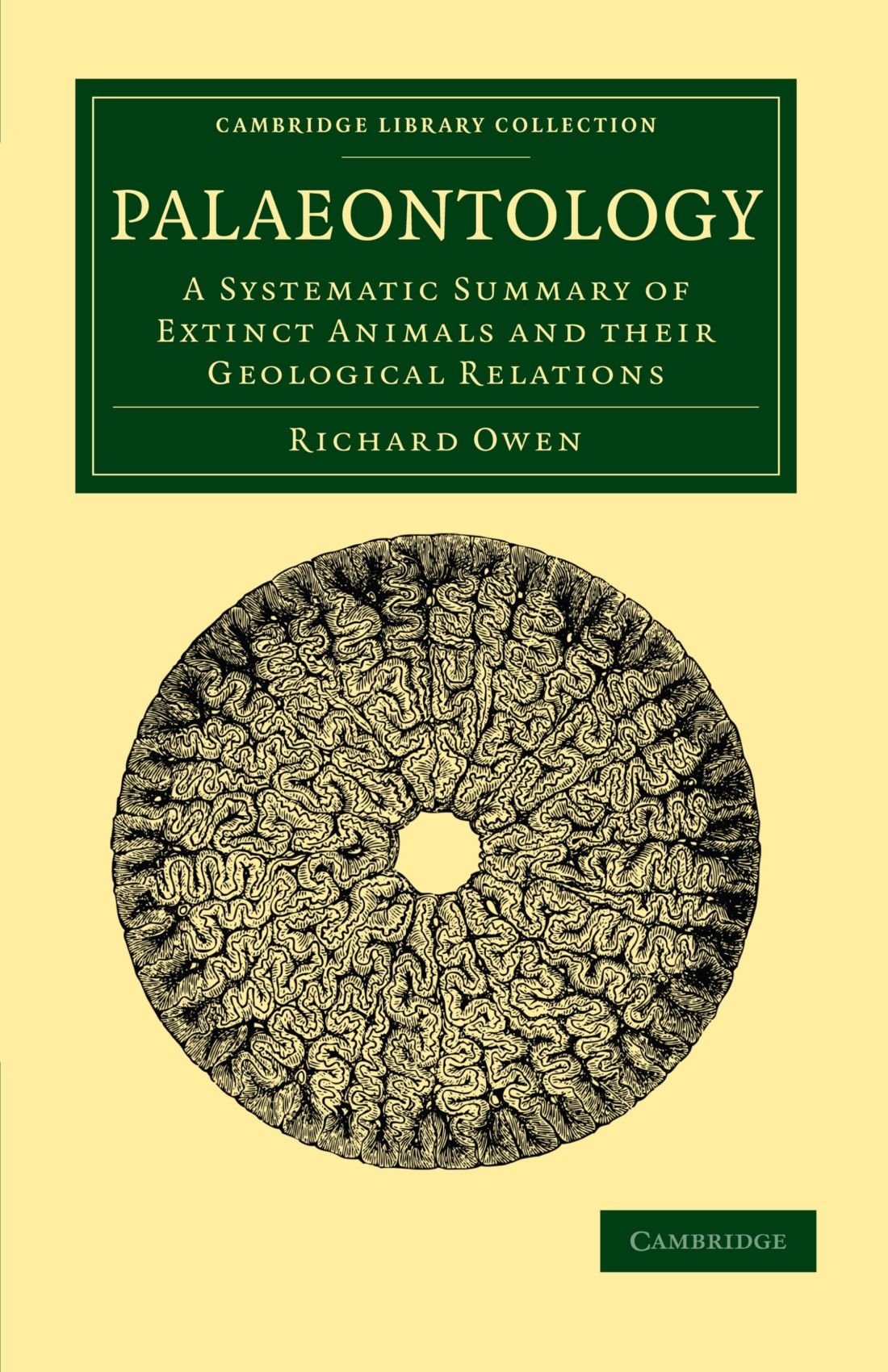 Palaeontology: A Systematic Summary of Extinct Animals and their Geological Relations (Cambridge Library Collection - Earth Science)