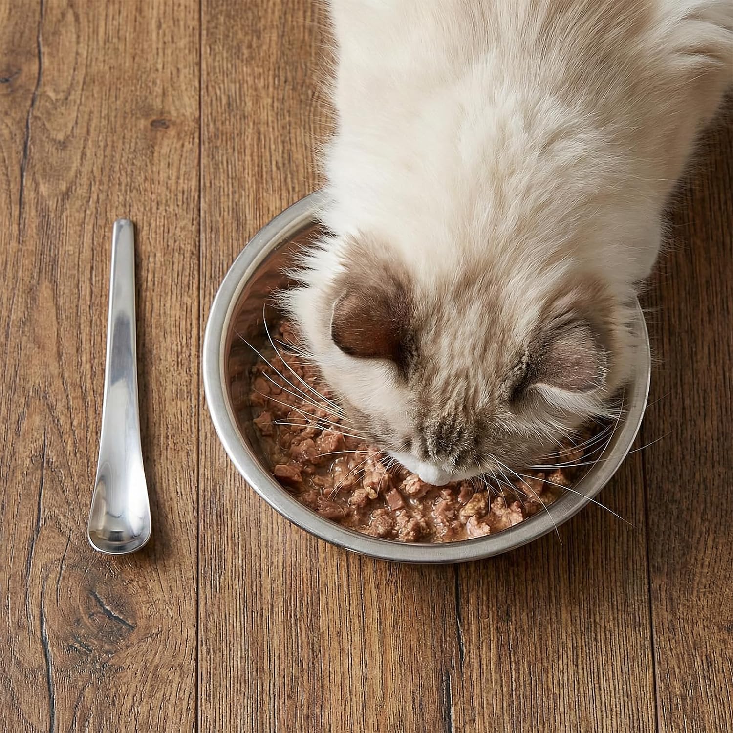4 Pcs Cat Food Spatula, Stainless Steel Dog Food Spoon Portable Pet Foods Spoons Long Handle Cat Foods Spatula for Can image 4