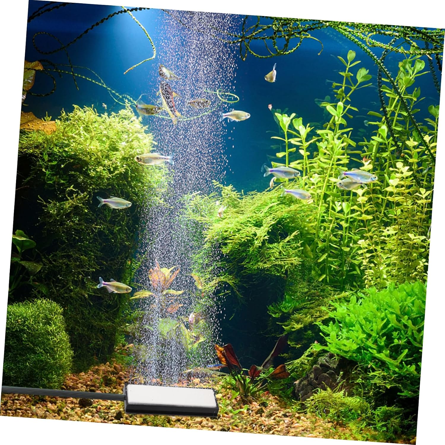 Air Stone Aquarium Bubble Diffuser Removable Air Bubbler for Fish Tanks Oxygen Pump Compatible with Freshwater Saltwater Essential Accessory for Healthy Aquatic Environments