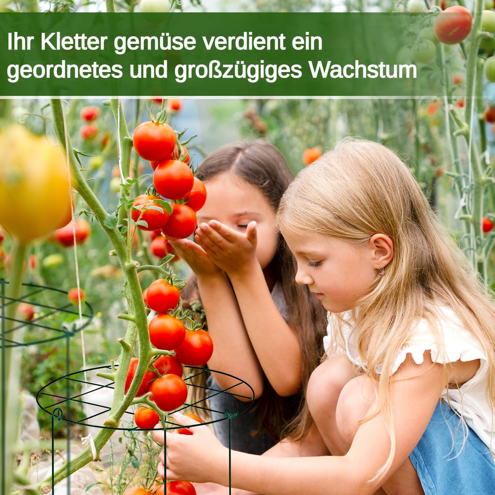 Sharplace 3 Stück Tomaten Kletterstütze Pflanzenstütze 45x35CM, Tomatenkäfig mit abnehmbarem Spalier, Metall-Gartenpflanzenpfähle, Pfingstrosen-Käfige für Rosen, Gemüse, Blumen, Gurken, Kreise-Grün