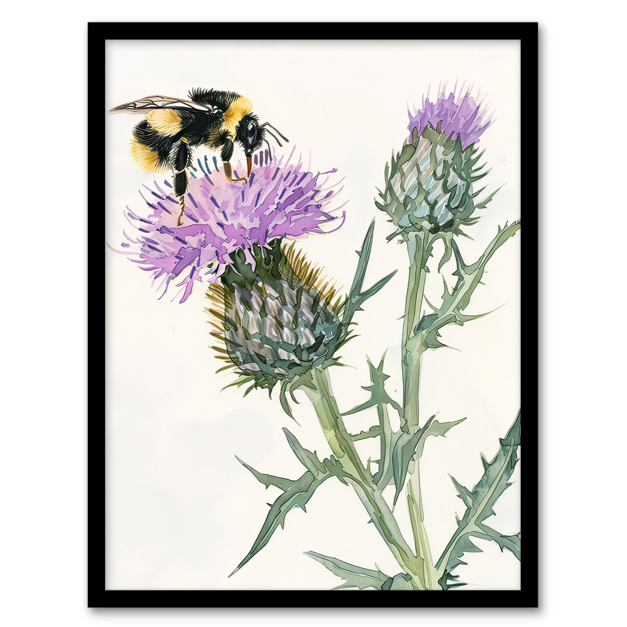 Artery8 Watercolour Bumblebee on Scottish Thistle Flower Living Room Art Print Framed Poster Wall Decor 12x16 inch