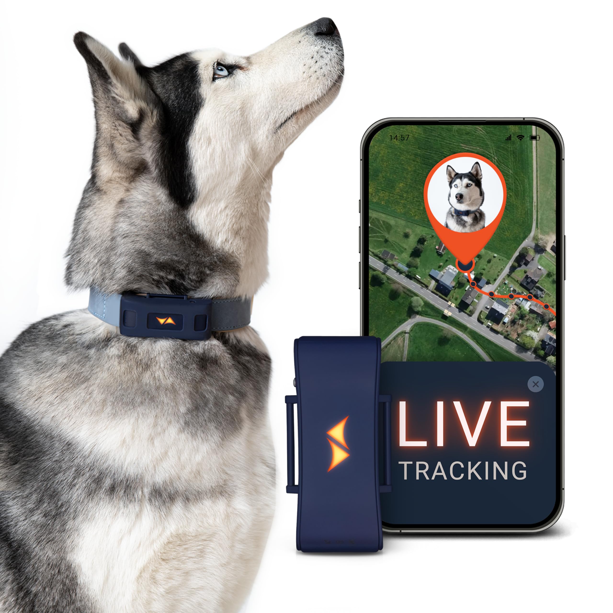 PAJ GPS Dog Tracker - 4G Real-Time Tracking & Runaway Alerts - Waterproof, Long-Range, Smart App Monitor Health & Activity - Fits Any Collar, Mini Device Navigator Chip - Subscription Required - Blue