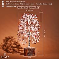 Vista 3 de KARMAPLEDGE Árbol de la vida de cristales curativos para energía positiva, protección y buena suerte, dinero, decoración de Feng Shui