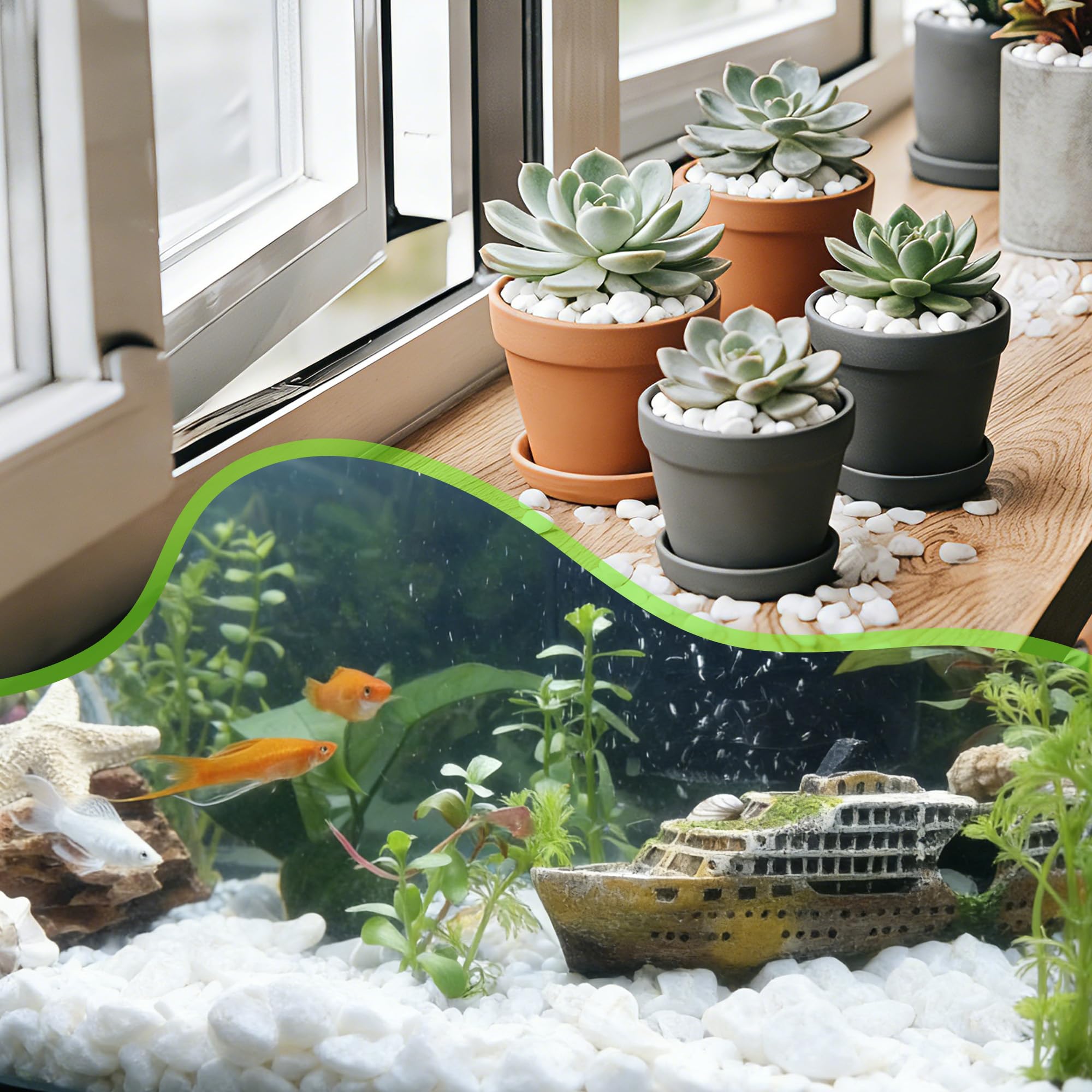 Anothera - Piedras decorativas de frijol blanco de 1,27 cm para interior y exterior, para plantas de pecera, jardín (bolsa de 8,2 kg)