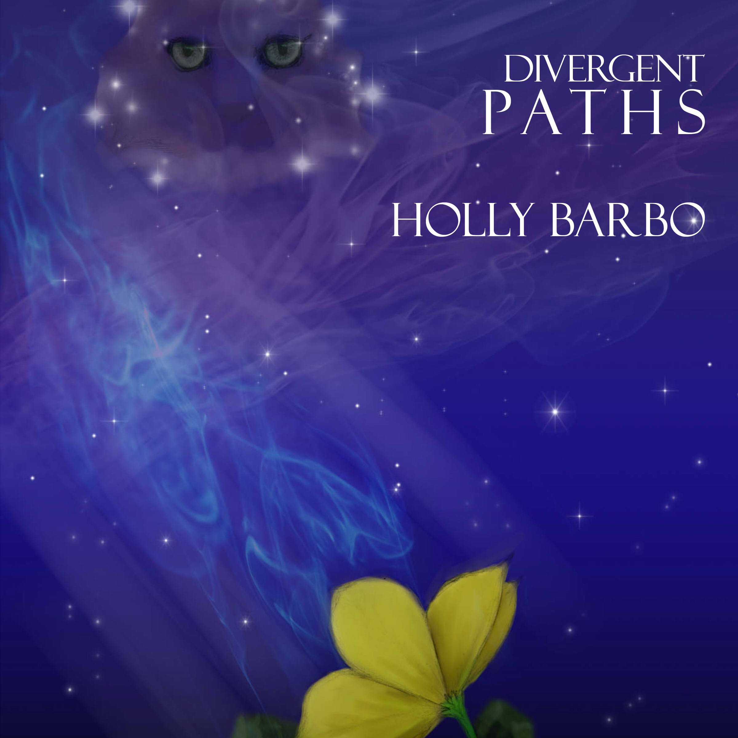 Cover art for Divergent Paths