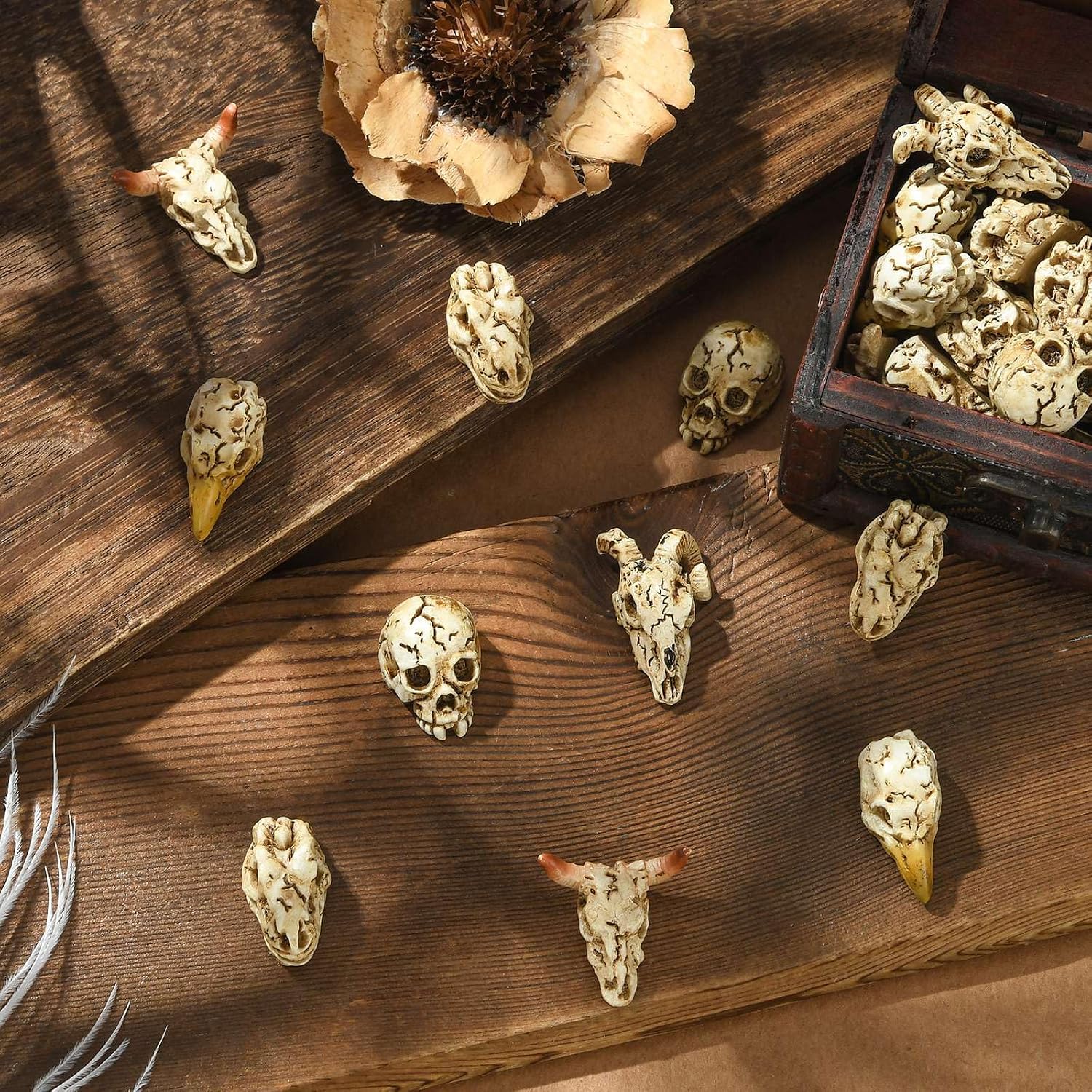 50 pcs 5 Styles Resin Animal Skull Figurines Mini Skull Head Decor Ornament for DIY Projects Halloween Christmas Micro Landscape Decor