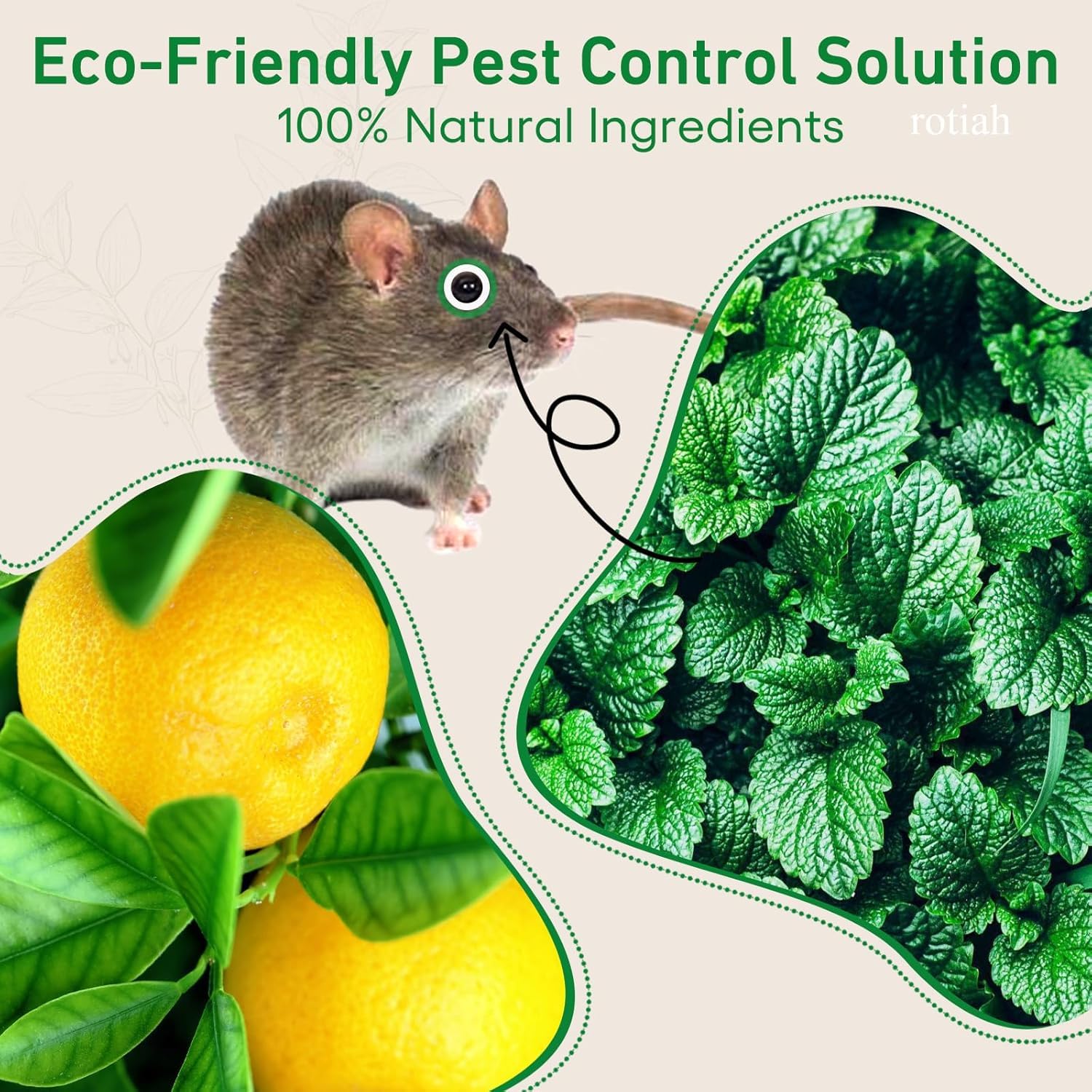 36 Pezzi Palline Repellenti all'Olio di Menta per Topi, Ragni, Scarafaggi e Insetti - Esche Vegetali Naturali per Scacciare Roditori e Parassiti da Auto, Casa e Garage - Sicure per Bambini e Animali