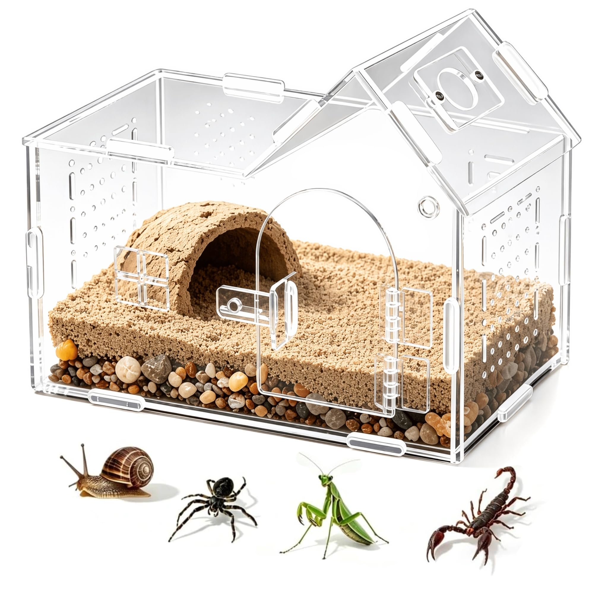 360° Magnetic Lock Jumping Spider Enclosure
