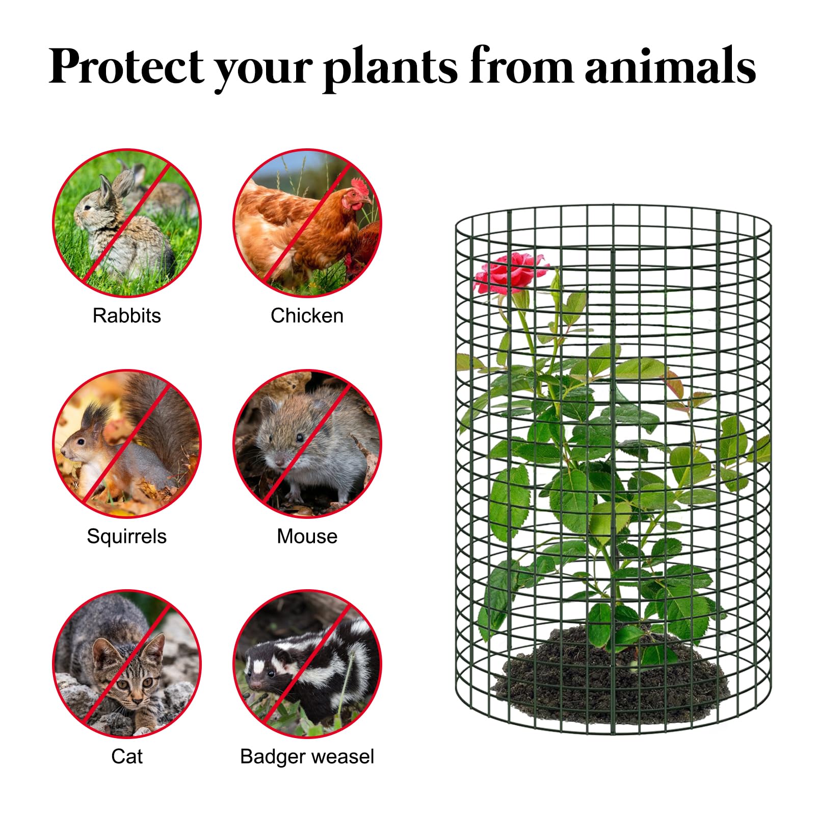 Lot de 6 grandes cloches de protection pour plantes en fil métallique de 45,7 x 30,5 cm contre les animaux, 18 pièces en métal avec piquets de sol et attache en nylon pour garder les animaux à