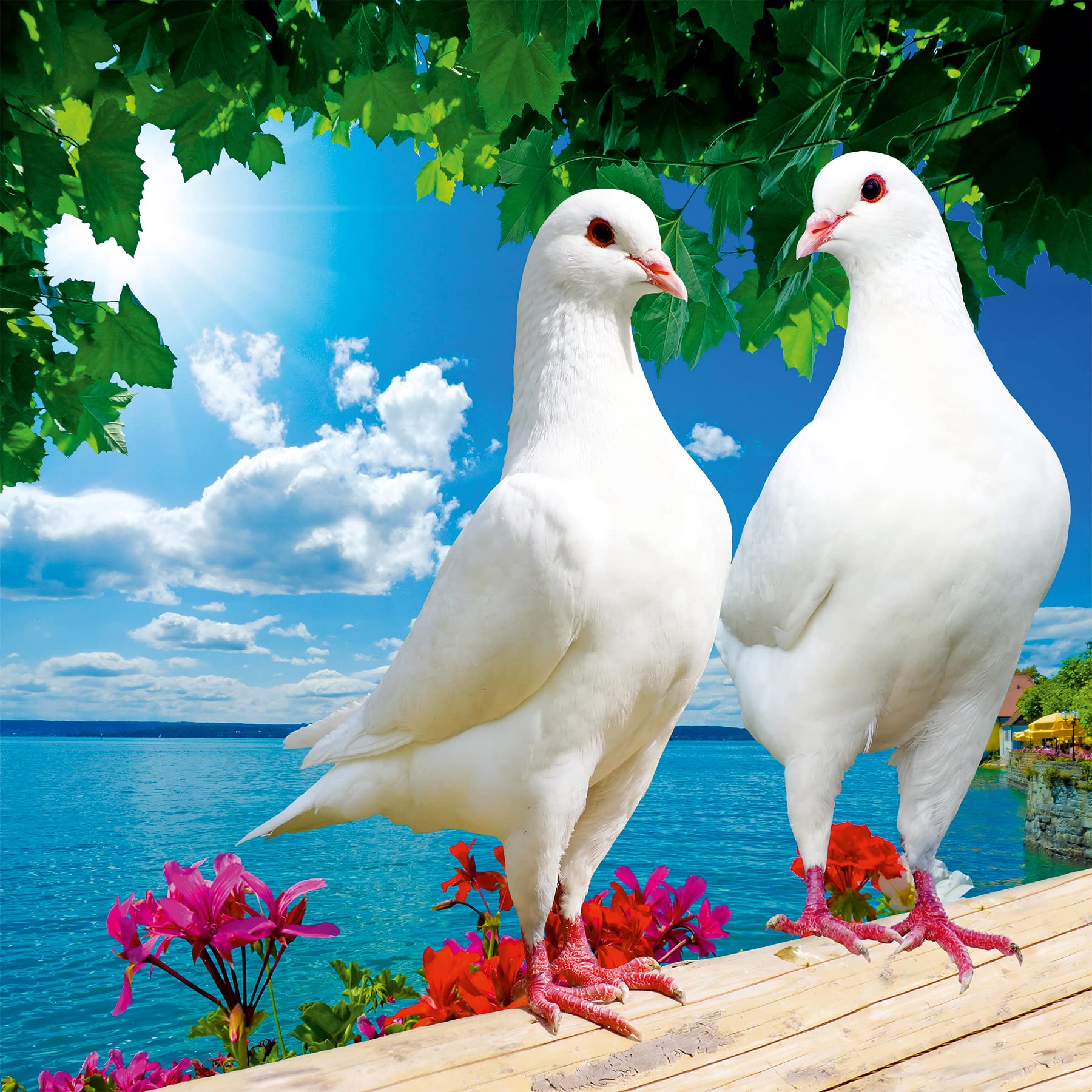 See full amazon price history chart for Color Solution Poster Pigeon Wallpaper Wall Sticker for Home Décor, Living Room, Bedroom, Hall, Kids Room, Play Room(Self Adhesive Vinyl and waterproof60 (18 X 18 INCH) Color Solution Poster Pigeon Wallpaper Wall Sticker for Home Décor, Living Room, Bedroom, Hall, Kids Room, Play Room(Self Adhesive Vinyl and waterproof60 (18 X 18 INCH) (B09PBZNNC4) Amazon Price History, Amazon Price Tracker