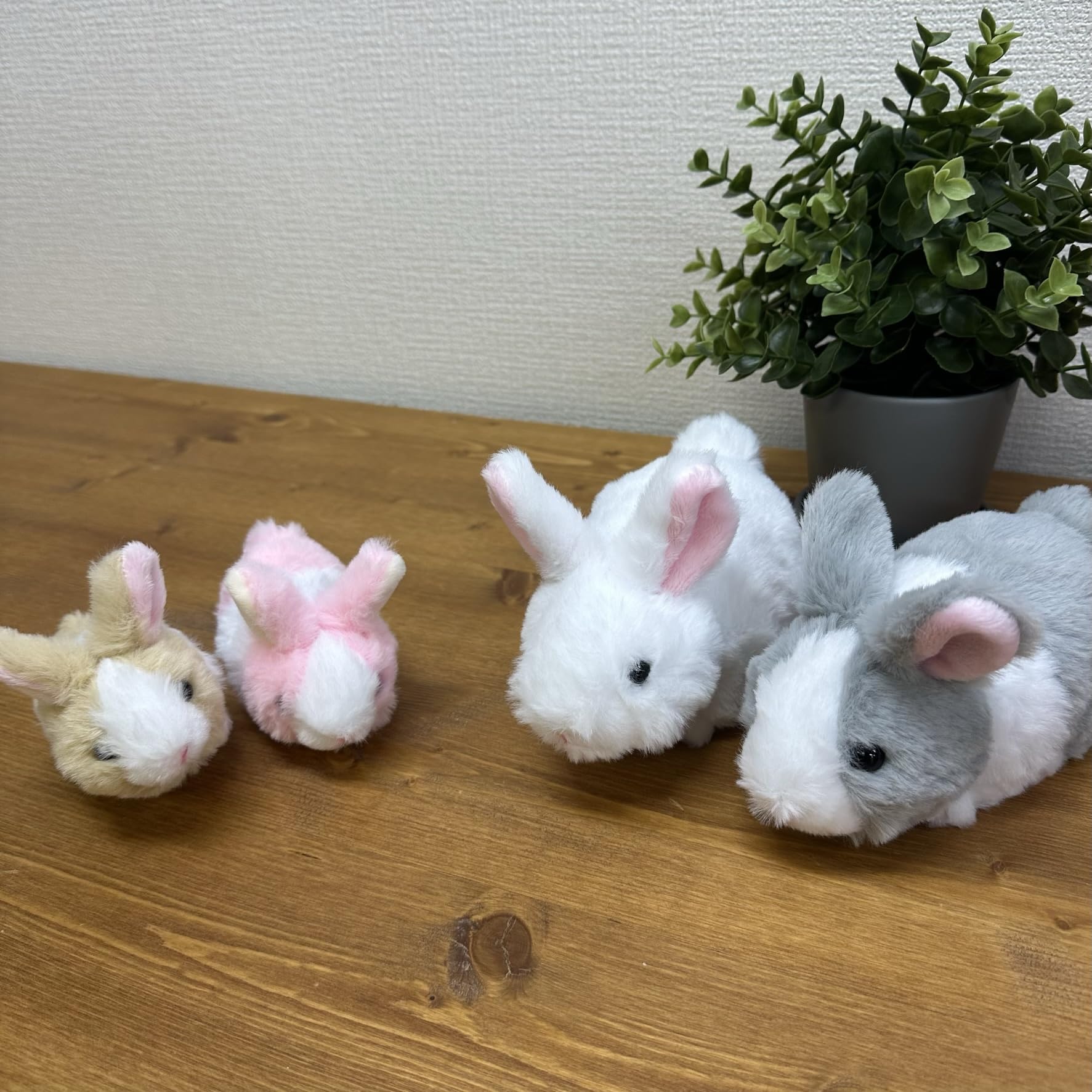 Amazon.co.jp: キュート販売 ぬいぐるみ MOU MOU うさぎ SS ベージュ