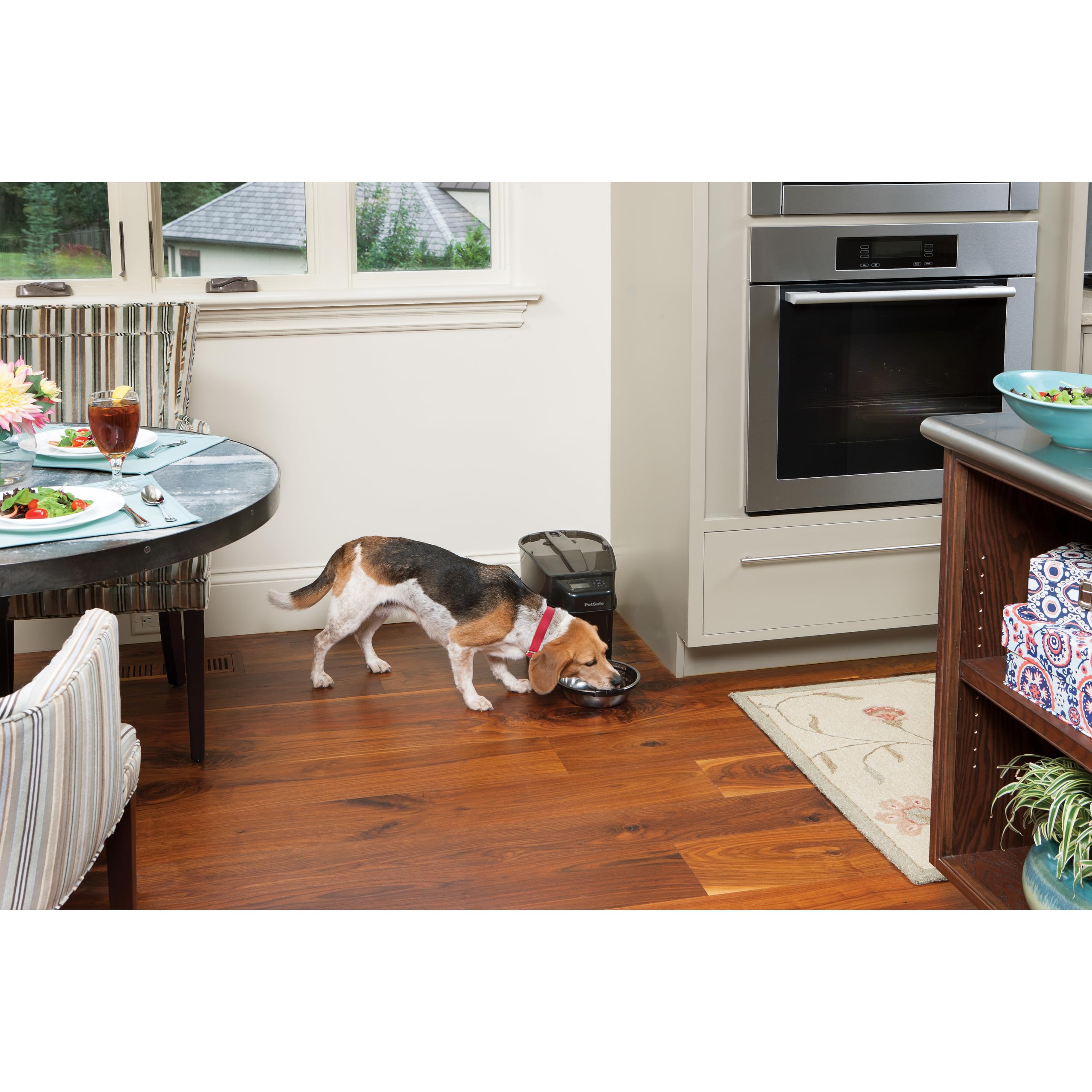 PetSafe Healthy Pet Simply Feed Comedero Automático | Control de Raciones y Programación, Capacidad 24 Tazas