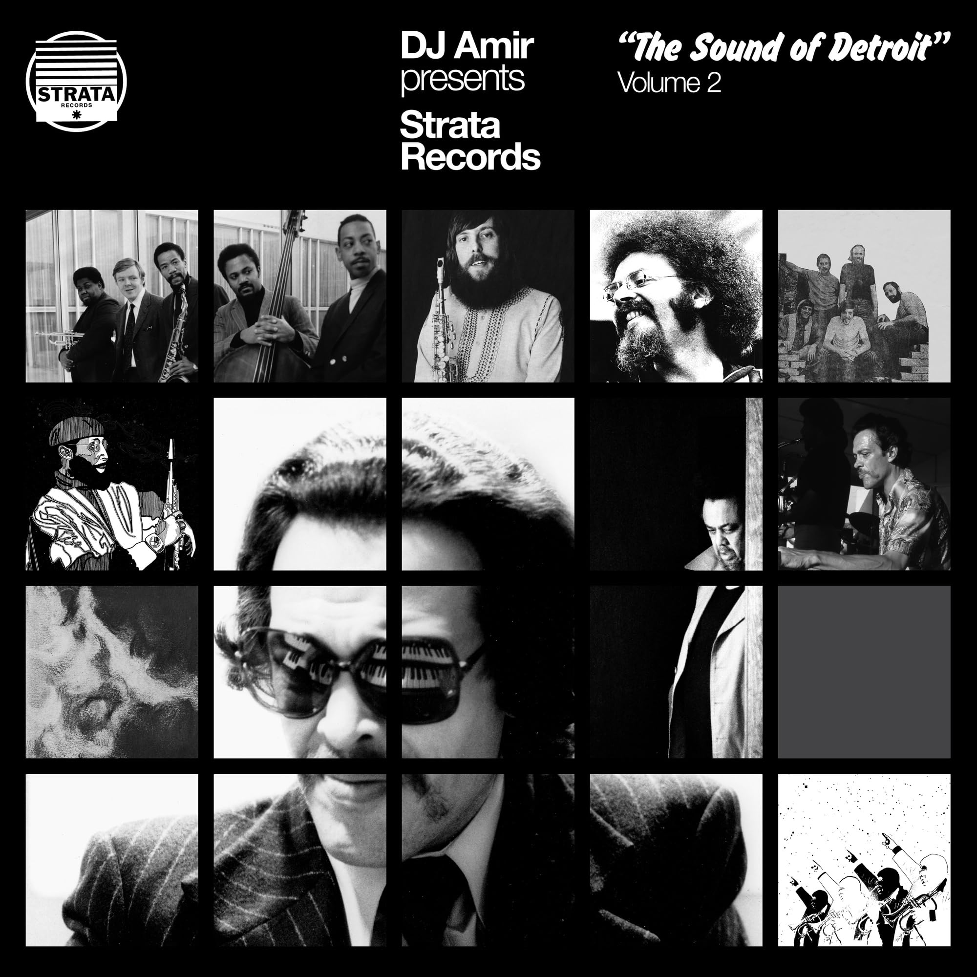 DJ Amir presents Strata Records - The Sound of Detroit Vol. 2 [VINYL]