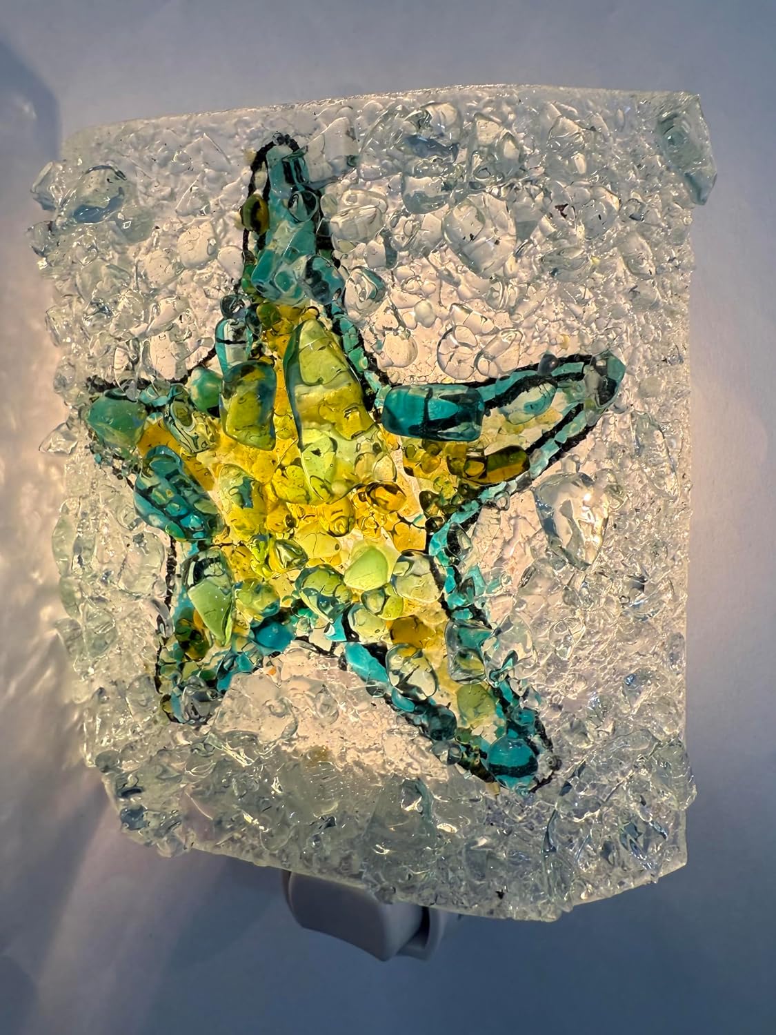Starfish Shell Recycled Bottle Glass Night Light Nightlight Unique Island Beach Lighting Decor