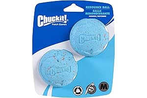 Medium Chuckit! Balls: 2.5" Bounce, 2 Pack, Blues & Purples