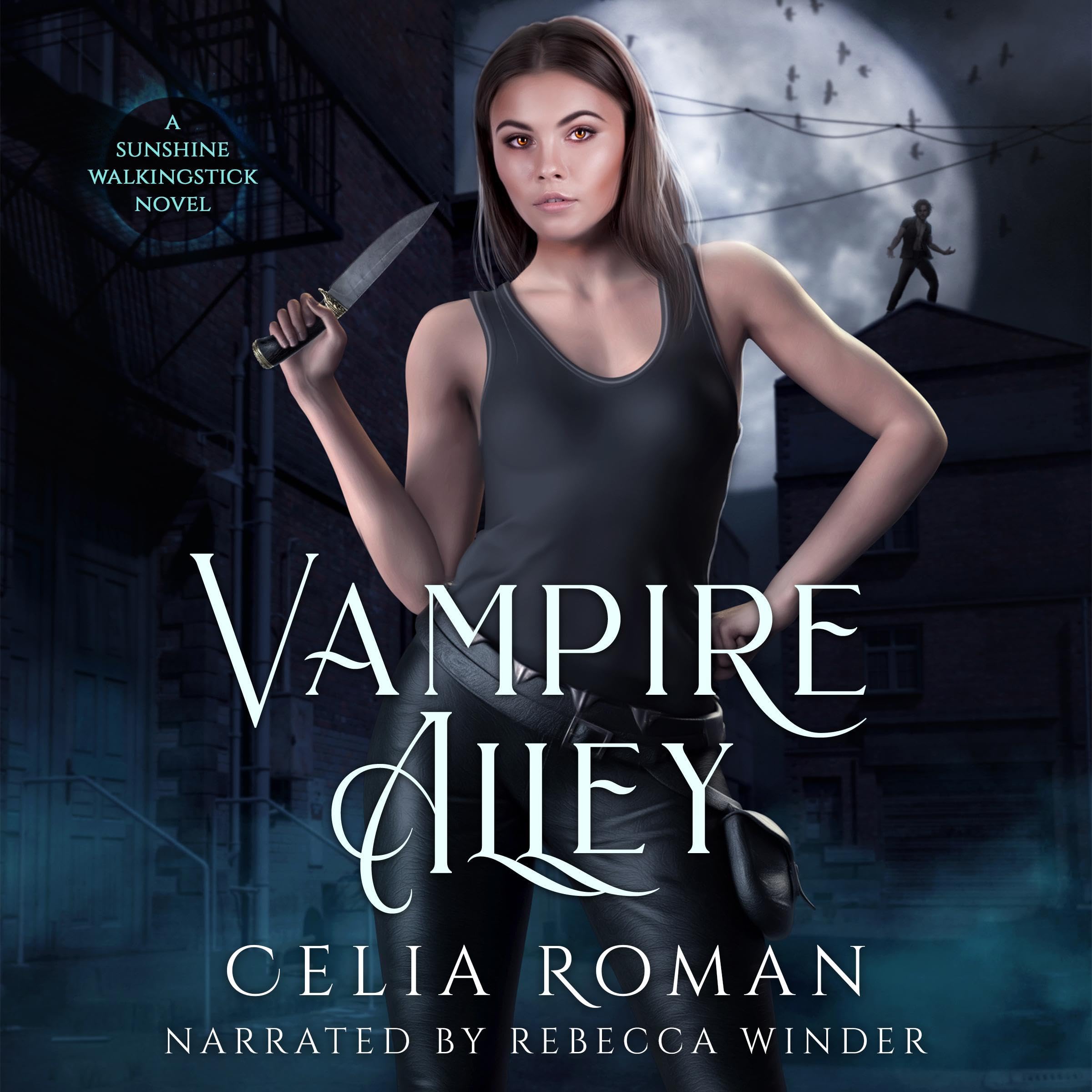 Cover art for Vampire Alley