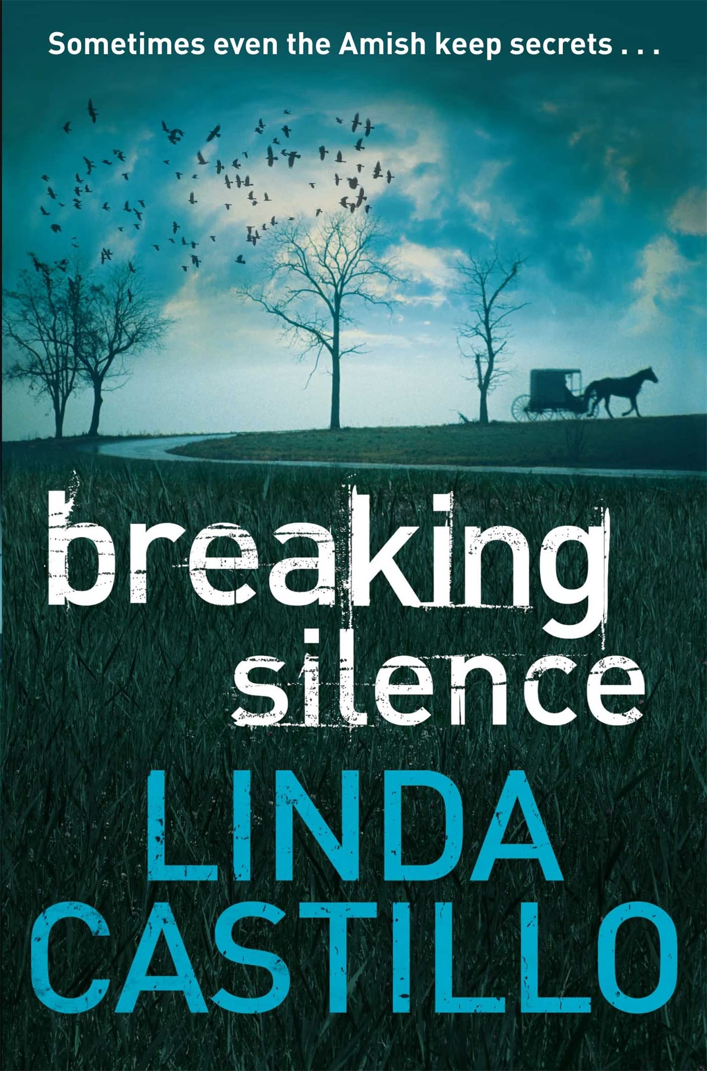 Breaking Silence