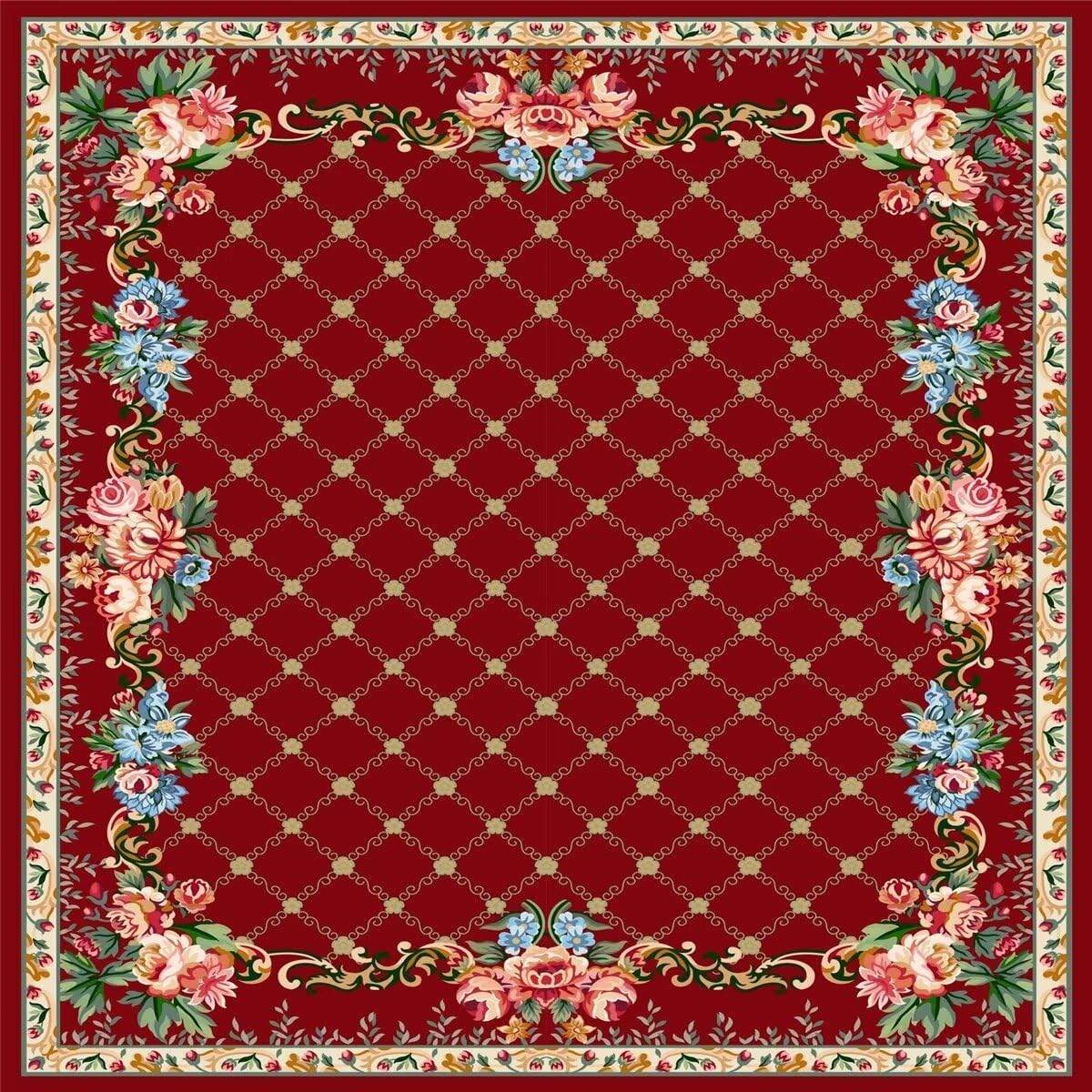 Tapis anti dérapant résistant à l'usure 120x170cm pour sécuriser le passage des chiens
