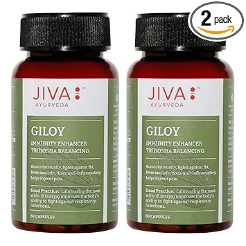 Jiva Giloy Immunity Booster Capsule | Helps to Improve Overall Health 450 mg each, 60 Capsule (Pack of 2)
