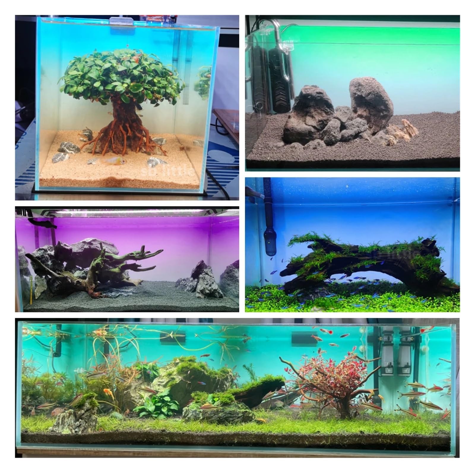 Fondo Acuario Adhesivo de Fondo for pecera, Degradado, impresión Sencilla, Papel Tapiz, Decoraciones for Acuario PVC(Green,50x80cm)