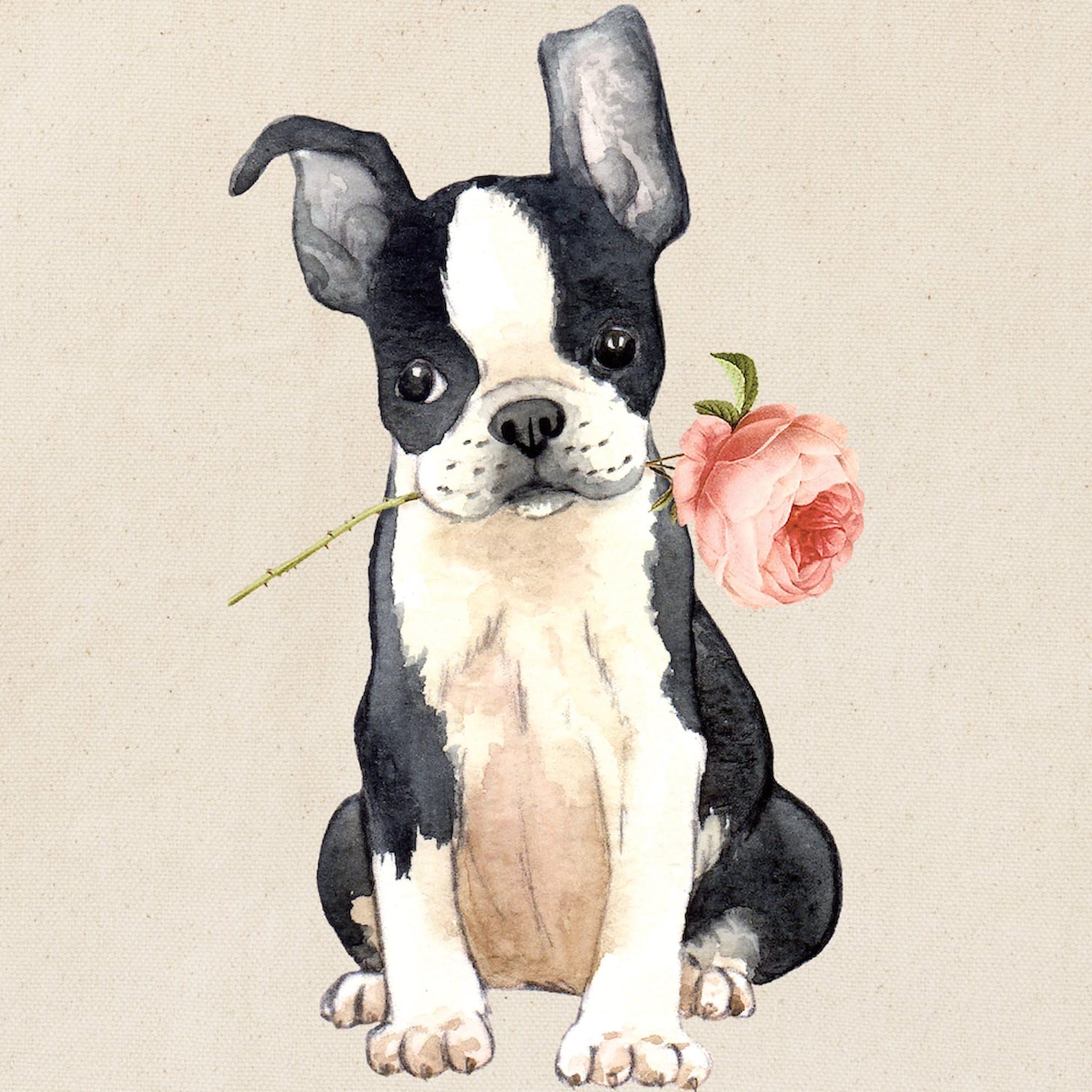 Elizabeth Hartman Lepidoptera Ptrn, Large