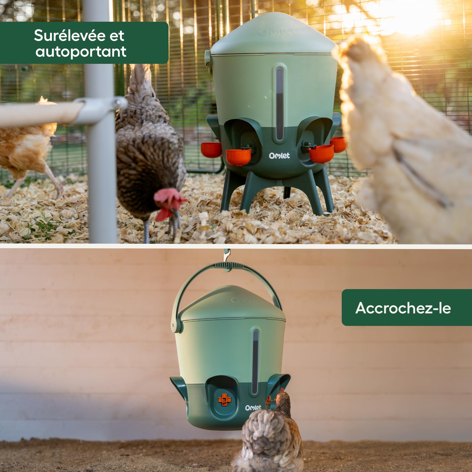 Omlet Abreuvoir isolé pour Poules 11 L | Eau Plus Propre Plus Longtemps | Distribution Automatique Hygiénique | Embouts Tasse et tétine Inclus | sans BPA | Vert Sauge