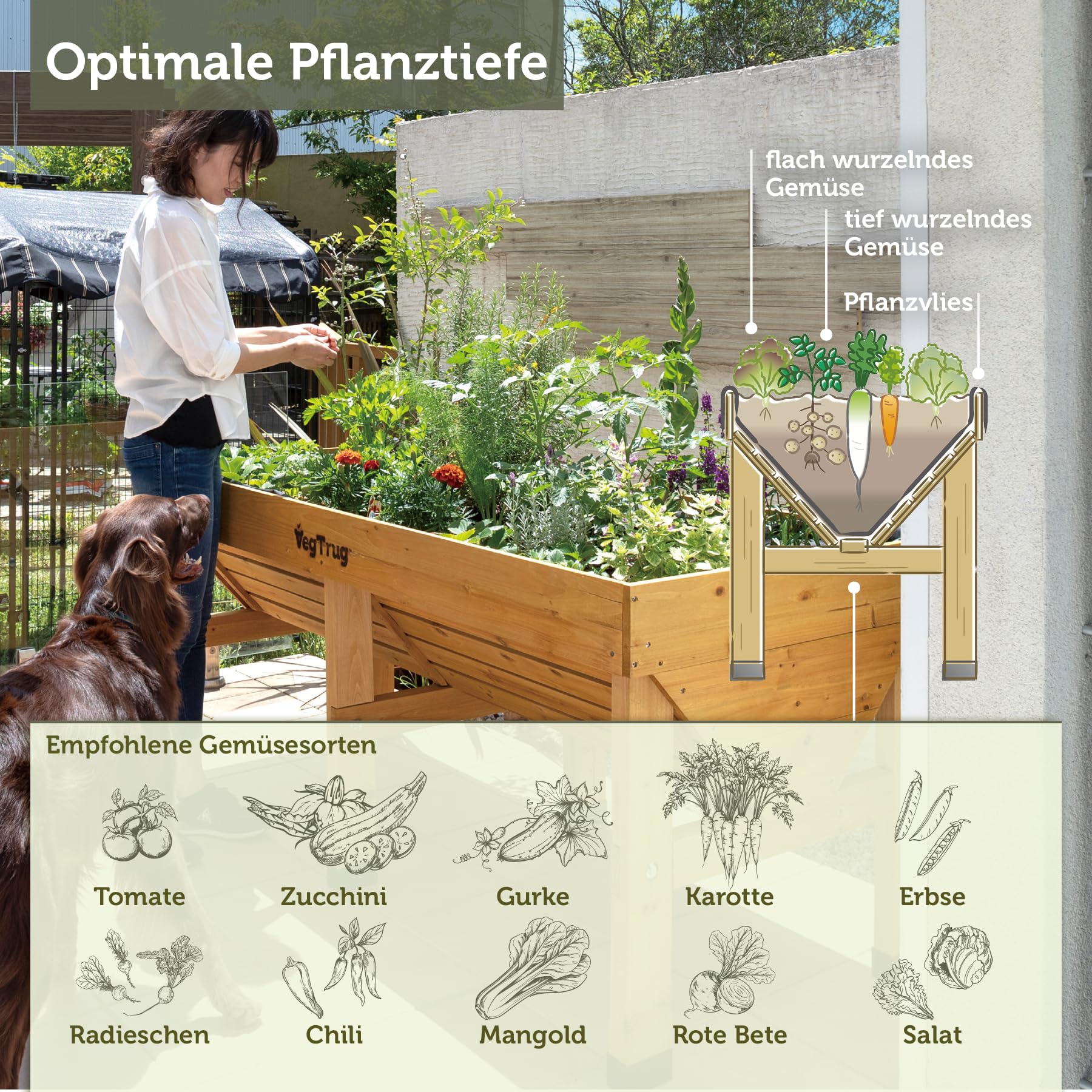 VegTrug Hochbeet Classic 1,8 m - Natural - 183 x 76 x 80 cm - ergonomisch | Pflanzkasten aus 100% FSC-Zedernholz - wetterfest für Balkon, Terrasse & Garten - platzsparendes Pflanzbeet mit Vlieseinlage