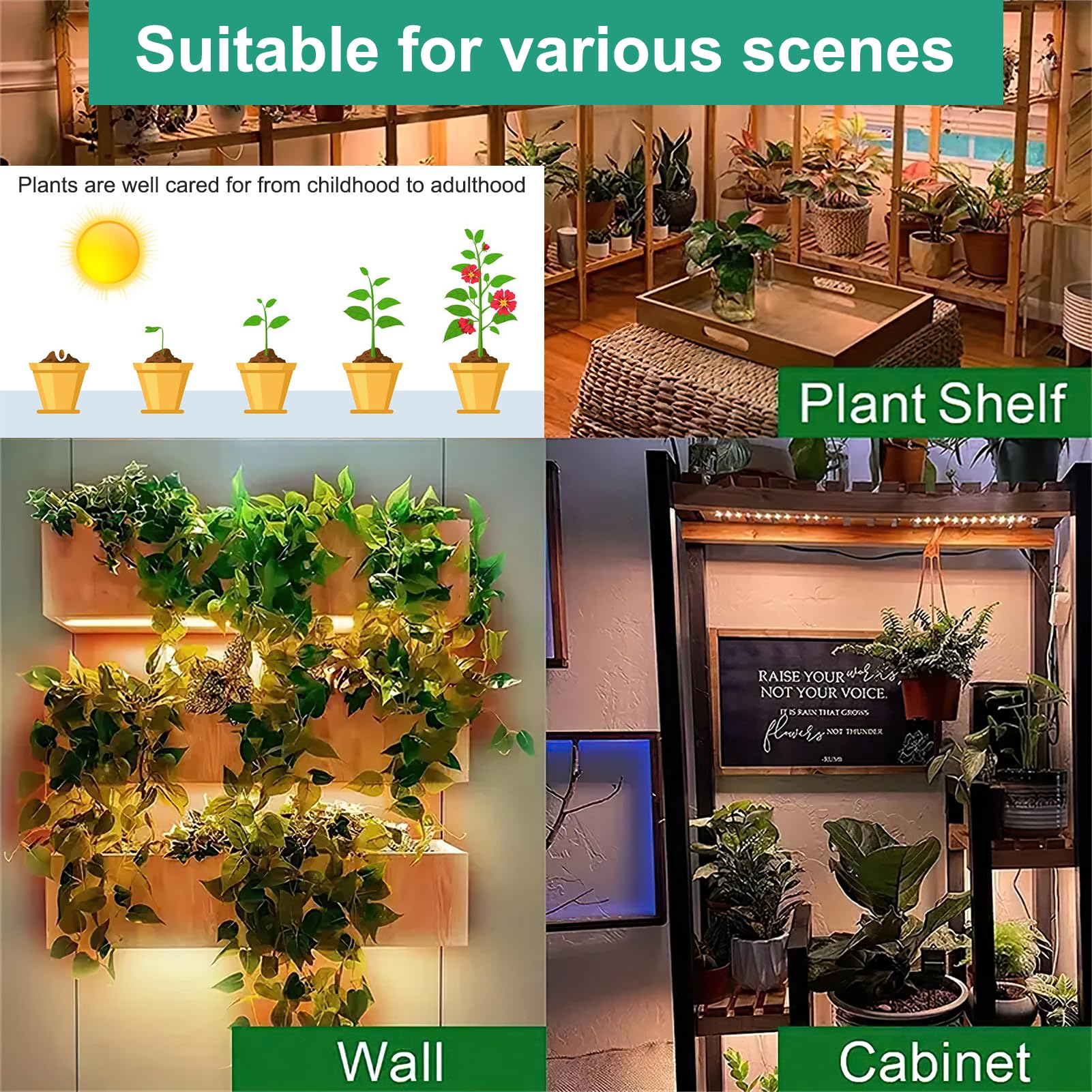 Culture Intérieure Lampe LED Pour Plantes Intérieur - 4 Panneaux Spectre Complet, Minuterie 3/9/12h | Culture Hydroponique, Semis éclairage Semis Succulentes