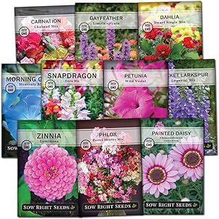 Sow Right Seeds - Flower Seed Collection - Carnation, Gayfeather, Dahlia, Morning Glory, Larkspur, Petunia, Snapdragon, Ph...