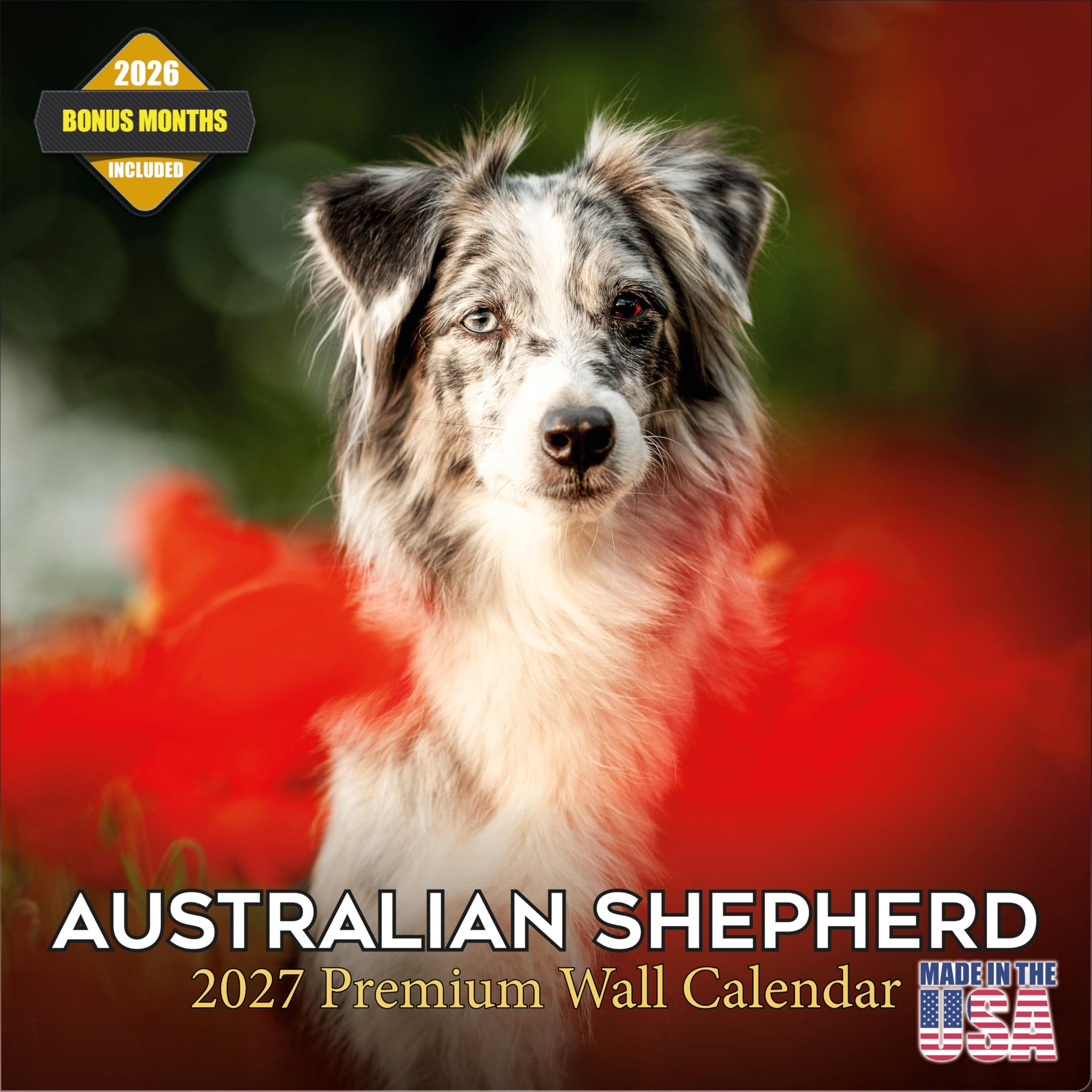 2024 2025 Australian Shepherd Calendar - Dog Breed Monthly Wall Calendar - 12 x 24 Open - Thick No-Bleed Paper - Giftable - Academic Teacher's Planner Calendar Organizing & Planning - Made in USA โ image 1