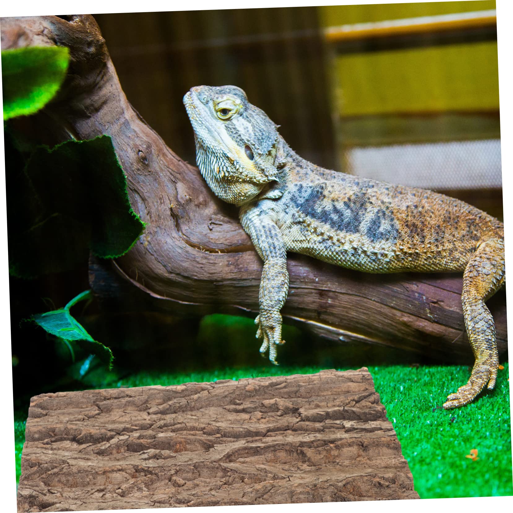 UPKOCH Terrarium Hintergrund aus Echtem Kork Dekorative Bark für Aquarien und Reptilienbecken Wiederverwendbar und Anpassbar eine Natürliche Umgebung für Schildkröten und Bartagamen