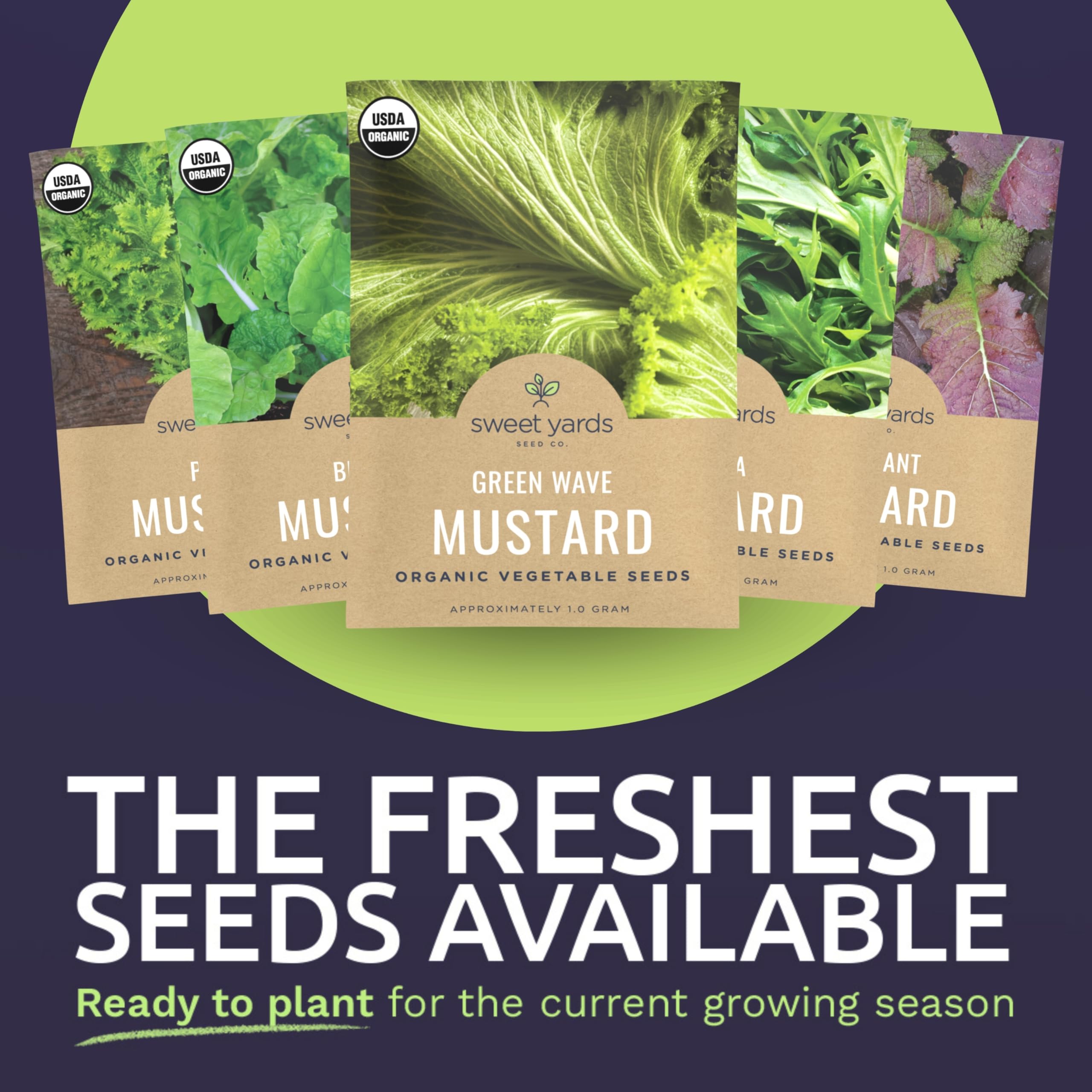 The Mustard Seeds ☆III Mustard Seed – TheZestyMoose