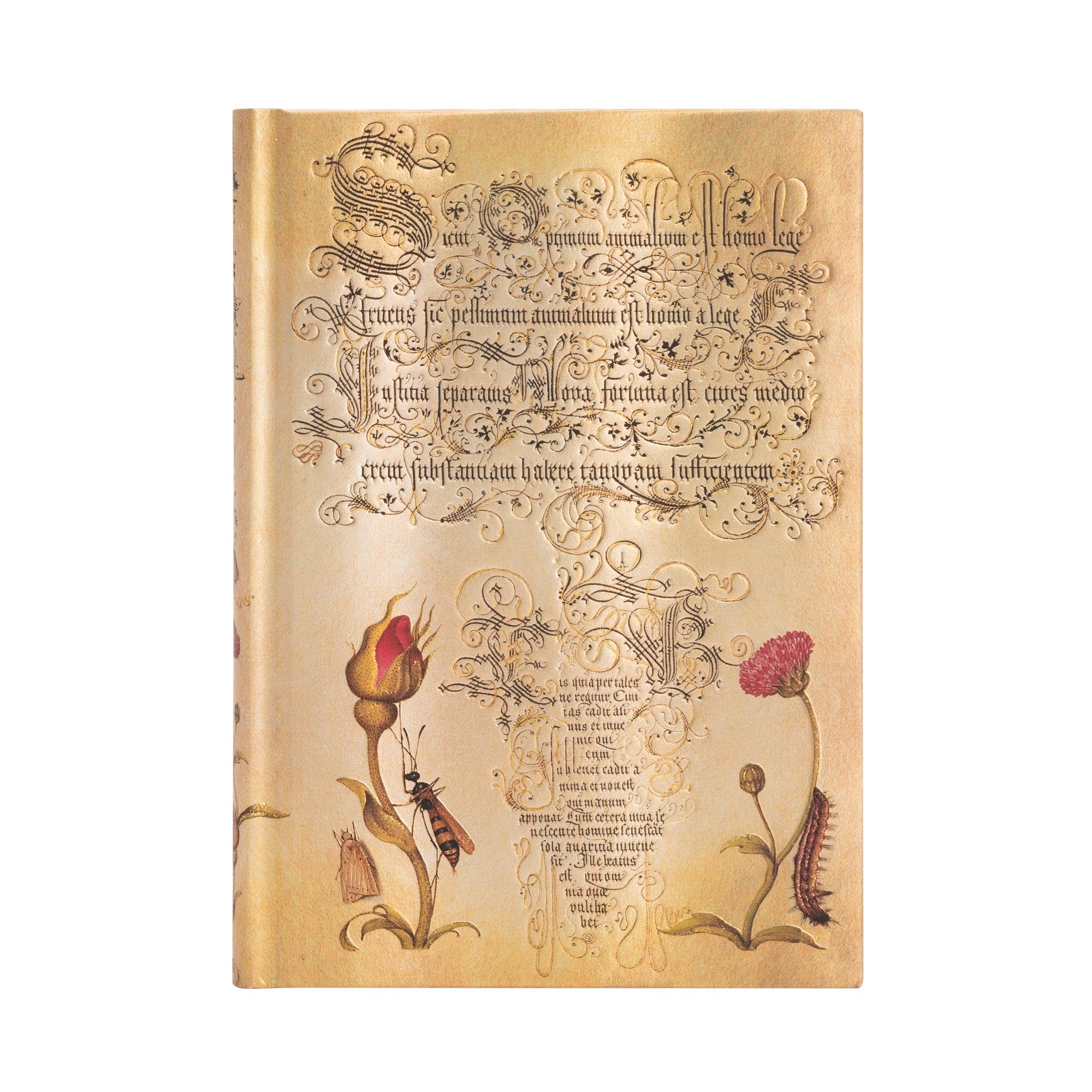 Flemish Rose (Mira Botanica) Midi Unlined Hardcover Journal: Hardcover, 120 gsm, ribbon marker, memento pouch, elastic closure, book edge printing
