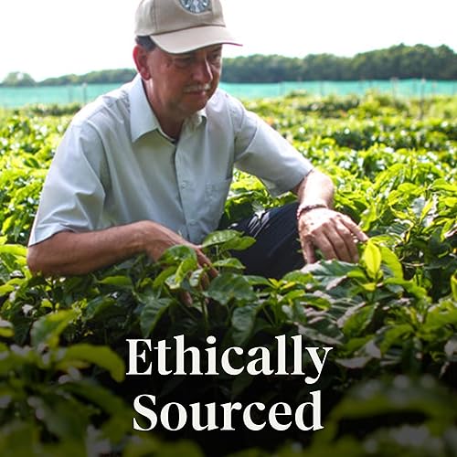 Vista 96 de Starbucks Cápsulas de café K-Cup, café tostado ligero Starbucks, mezcla Veranda, 100% arábica, 1 caja (40 cápsulas en total)