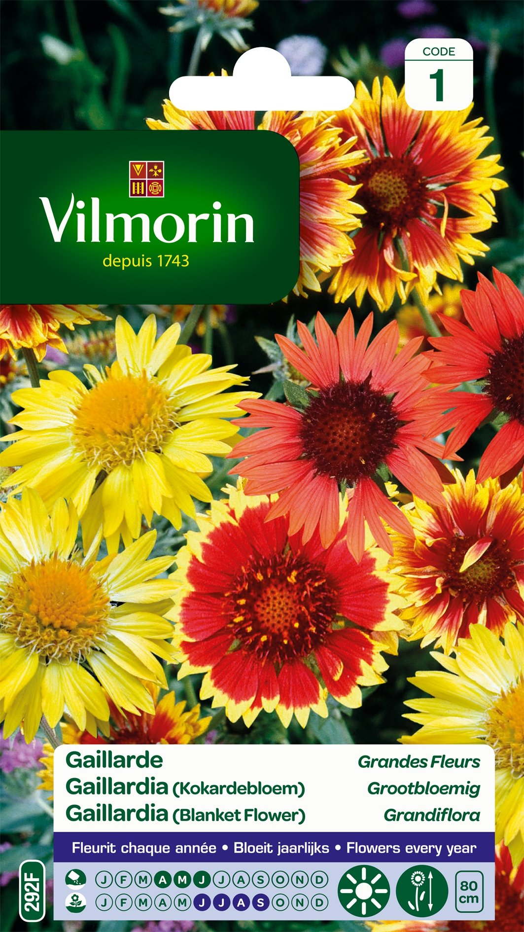 Vilmorin 5271241 Gaillarde variée à grande fleur Multicolore 9 x 0,5 x 16 cm