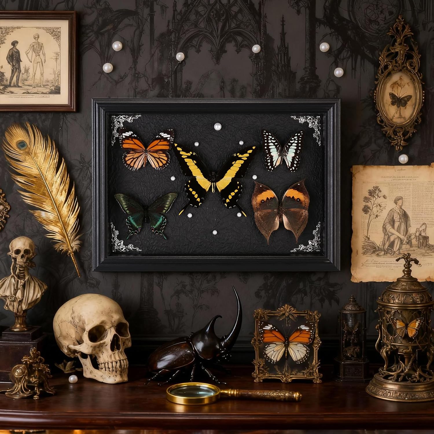Real Framed Butterfly Taxidermy Collection - Set of 5 in Shadow Box Display, Office - Unusual Gift for Entomology Lovers, Birthday, Christmas