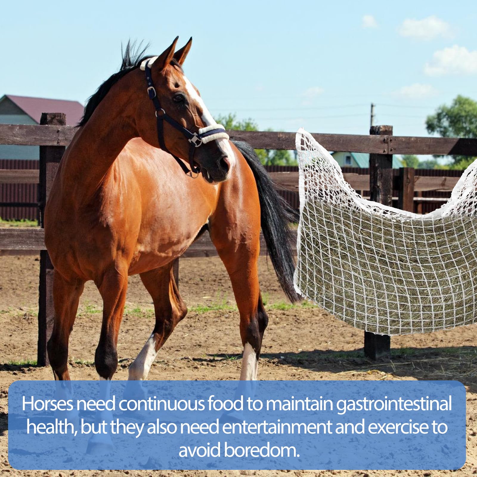 Rete Per Fieno 120x90cm Per Cavalli - Maglie Strette, Anti-Spreco, In Nylon Poliestere, Bianco