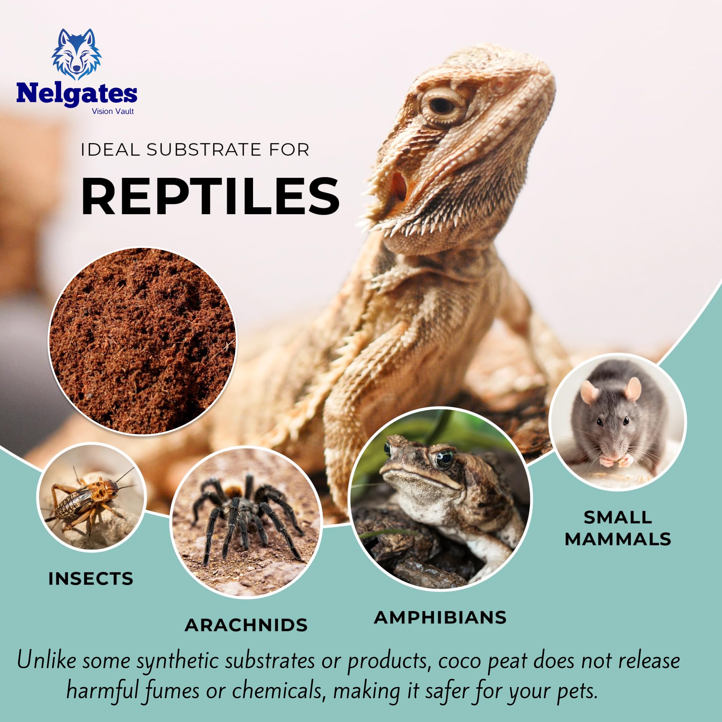 Nelgates Coco peat for Reptiles Bedding 5kg Coco peat Terrarium Substrate for Ball Python Frog Snake Gecko Hermit Crab Tortoise 1