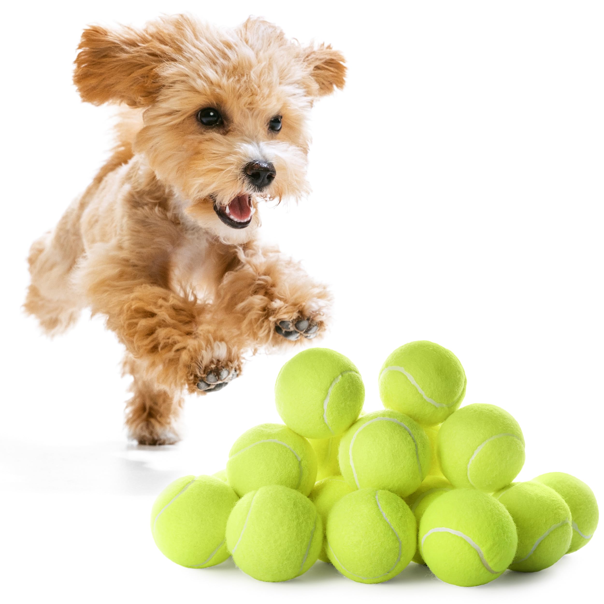 12 Small Tennis Balls for Dogs 2 Inch Dog Fetch Toys for Your Smaller Pups Non-Abrasive for Smaller